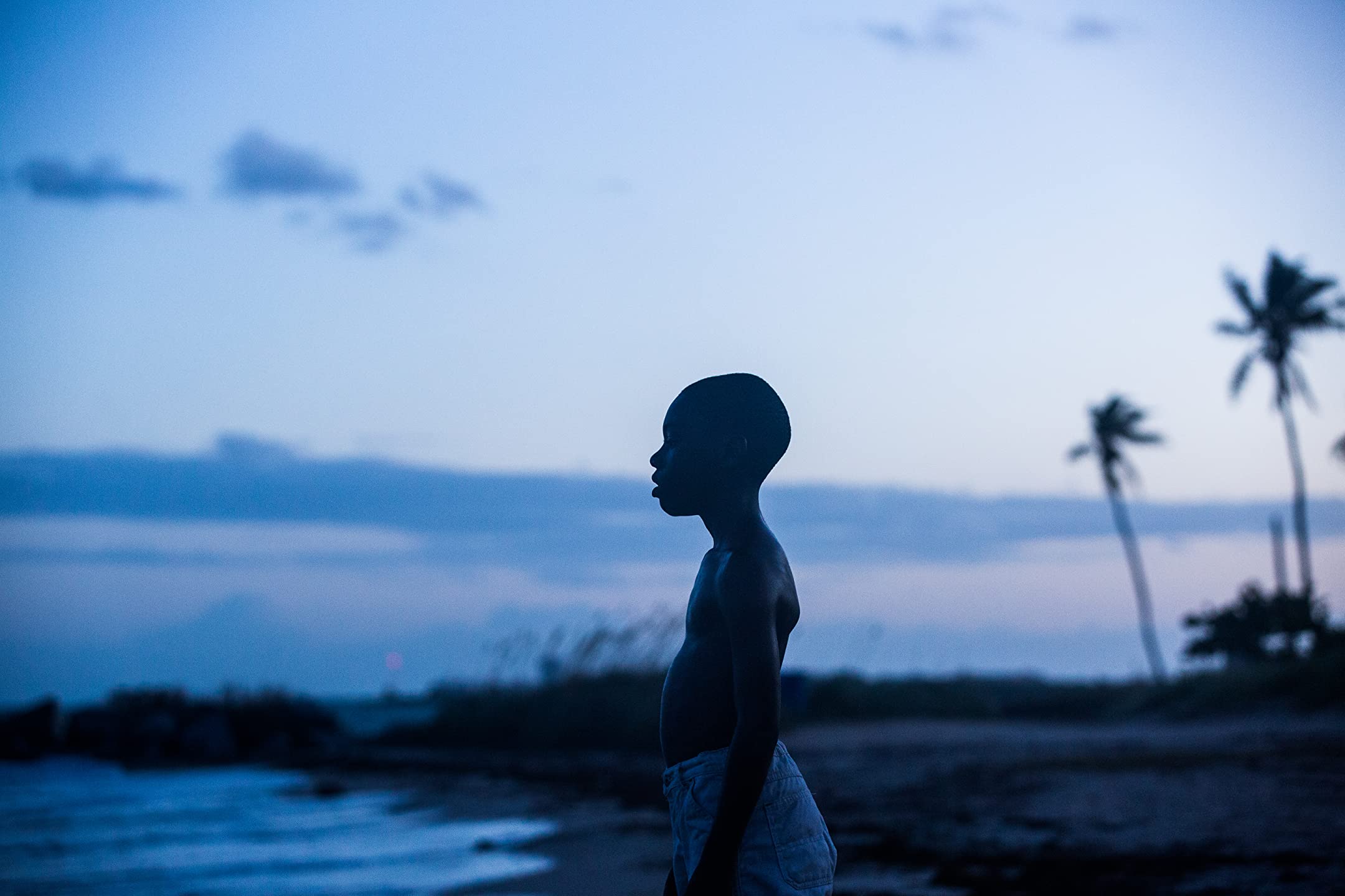 picture from Moonlight